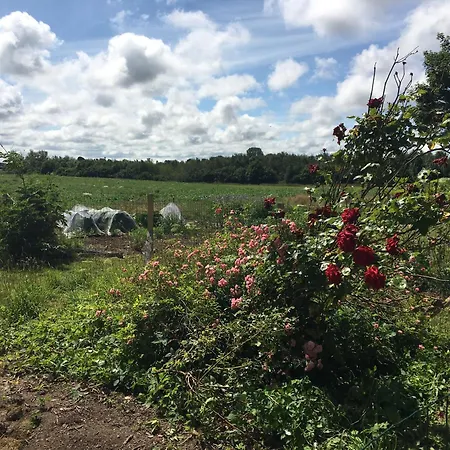 Almegarden Bed and Breakfast