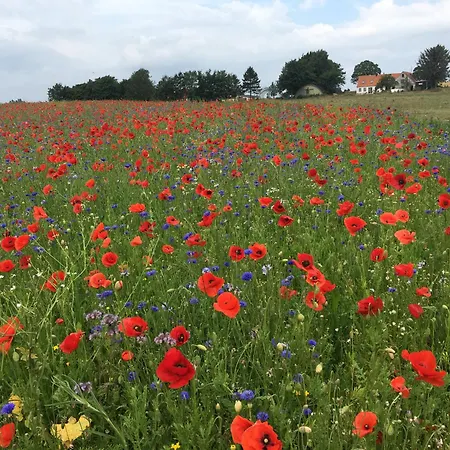 Nocleg ze śniadaniem Almegarden