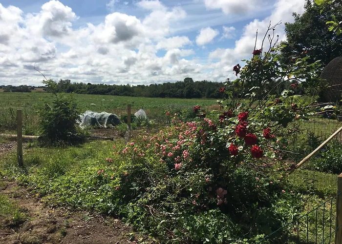 Almegarden Bed & Breakfast