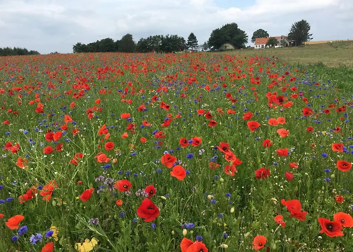 Bed and breakfast Almegarden